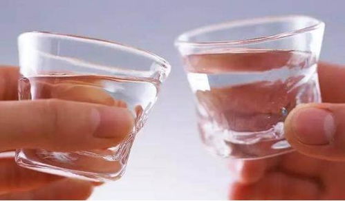 工程院院士揭秘 這些酒精飲料對健康最有益，其他酒不可比擬