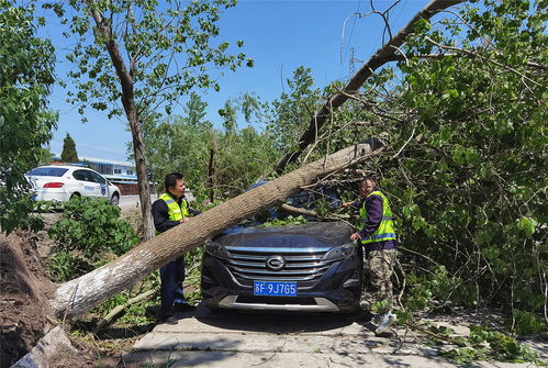江蘇人保財(cái)險(xiǎn) 貫徹羅熹董事長指示，全力推進(jìn)4.30大災(zāi)理賠與保險(xiǎn)經(jīng)紀(jì)業(yè)務(wù)協(xié)同發(fā)展